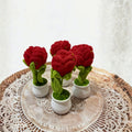 Crimson Rose Pots by Suryatra