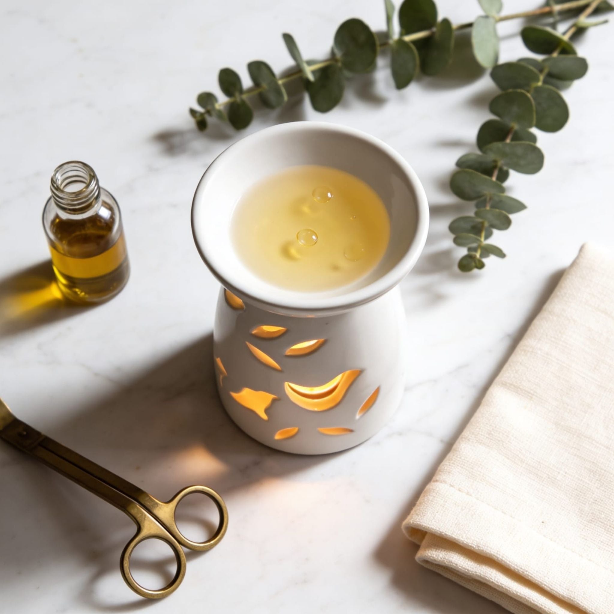 Soft Cream White Colour Ceramic Diffuser by Suryatra