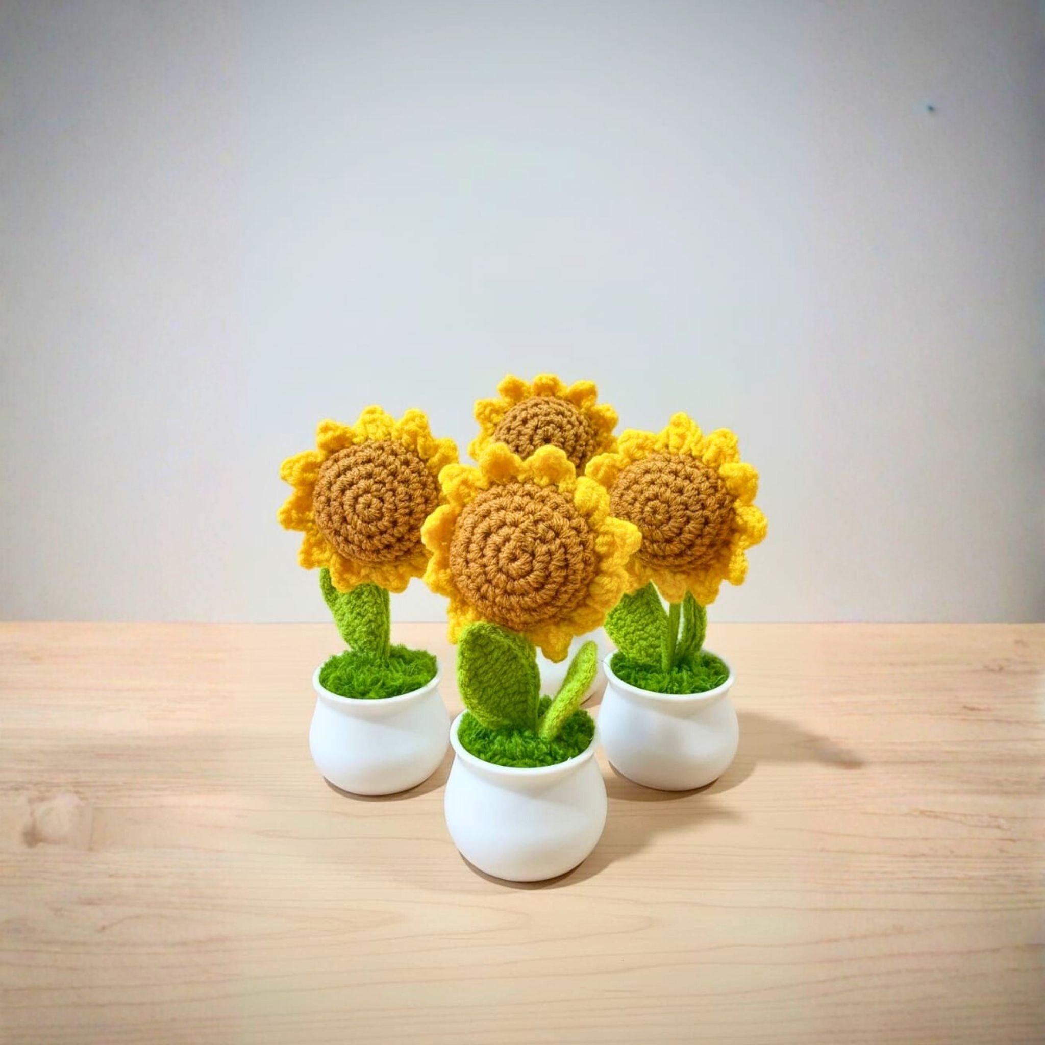Golden Sun Potted Sunflower by Suryatra