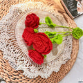 Rustic Lace Red Roses by Suryatra